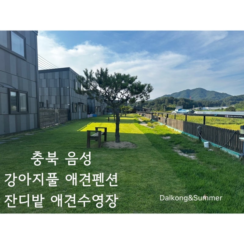 사진 2