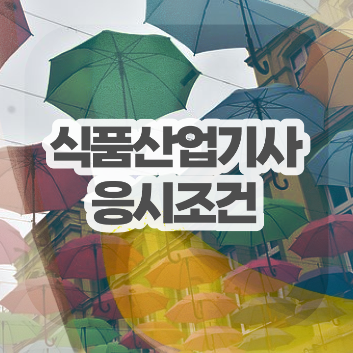  식품산업기사 시험일정 식품산업기사 시험응시조건 인강만 듣고 쉽고 빠르게 끝낸 방법