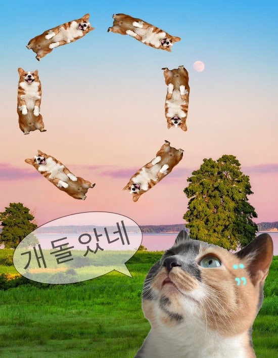  9-1 마감하니까 갑자기 9월 되고 갑자기 여름 끝남