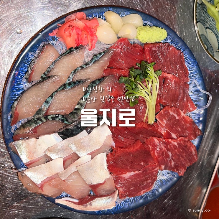  울산삼산핫플 싱싱하고 맛있는 회 맛집은 여기 [울지로]