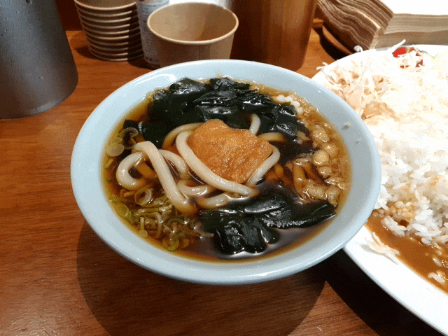  송파 헬리오시티 맛집 석촌동 맛집 카레 돈까스는 소바정원