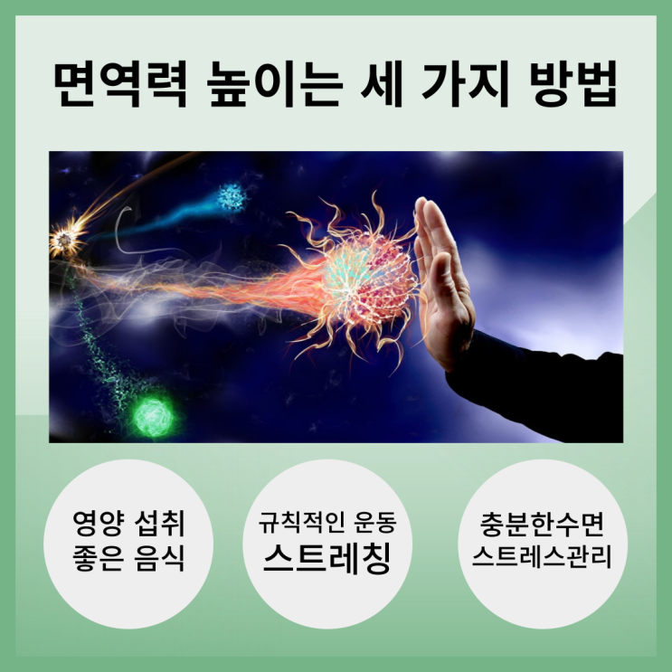  면역력 높이는 세 가지 방법