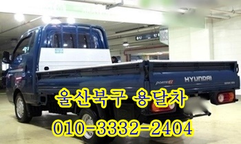 울산북구용달 입실 모화 외동 불국사 호계 내남 염포 양정 진장동 경주. 울산북구용달 입실 모화 외동 불국사 호계 내남 염포 양정 진장동 경주.