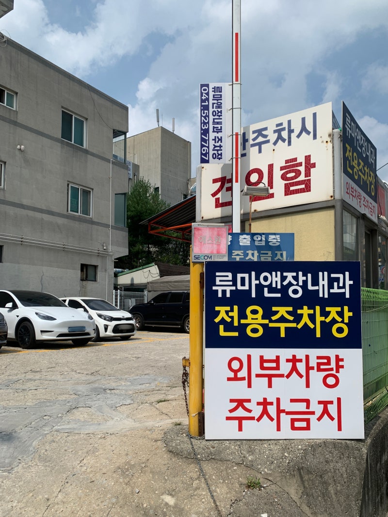 사진 8