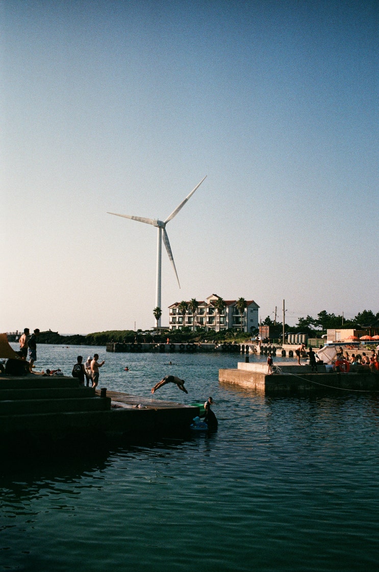  제주도 탐방기 1 [Leica m7, 주미크론35mm, 엘마릿90mm]