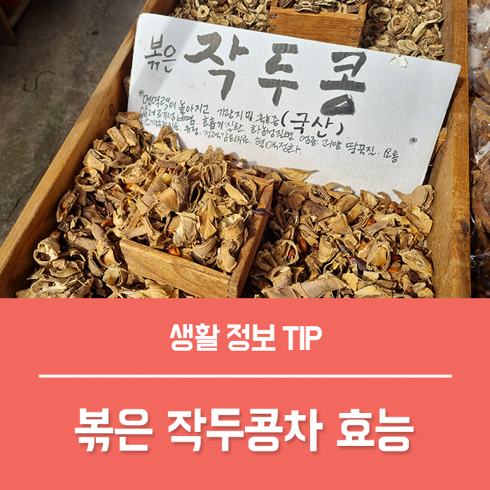  볶은 작두콩차 효능 부작용, 작두콩차 맛 총정리!