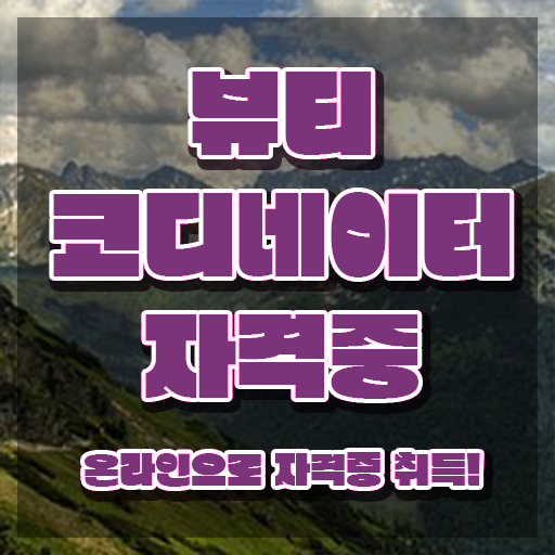  코디네이터취업 , 뷰티코디네이터 자격증 쉽고 빠르게 합격한 전략 핵심 공개