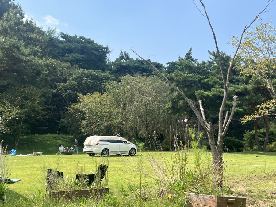 세울터 오토캠핑장 펜션A동 사진 5
