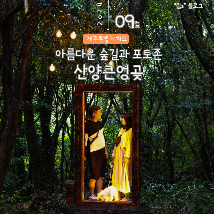  제주 산양큰엉곶 비오는날 방문했던 아름다운 숲길 포토존