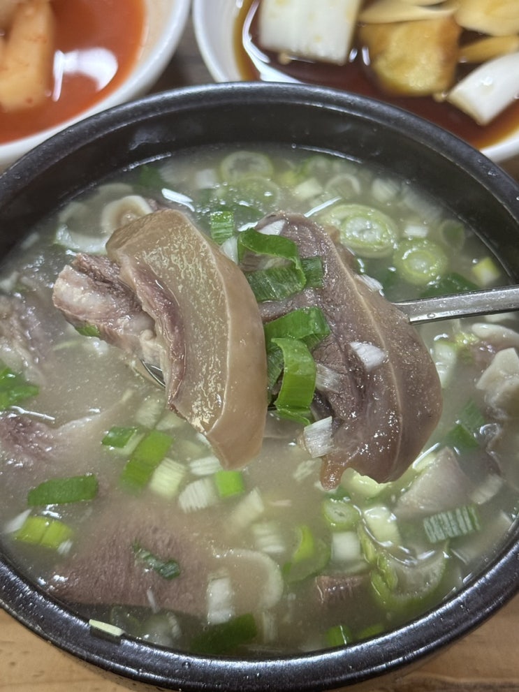  [장기식당] 포항 죽도시장 곰탕 맛집 백년가게