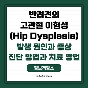  반려견의 고관절 이형성(Hip Dysplasia) 발생원인과 증상, 위험성과 치료 방법