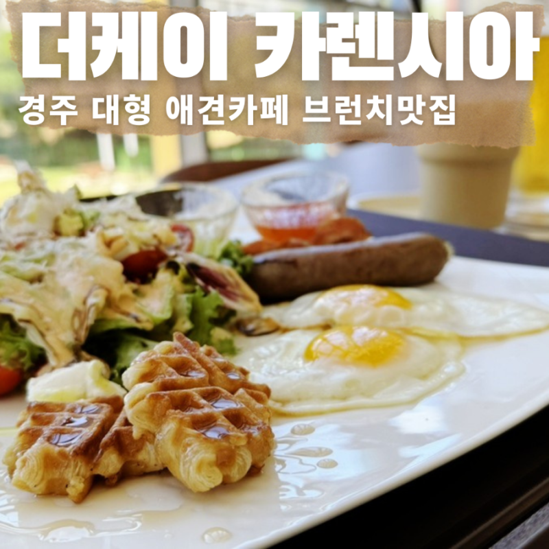 사진 4