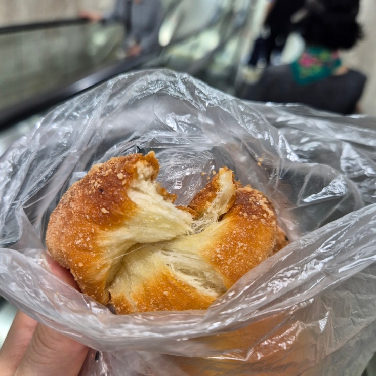  부산 내려가서 빠르게 놀고 올라오기