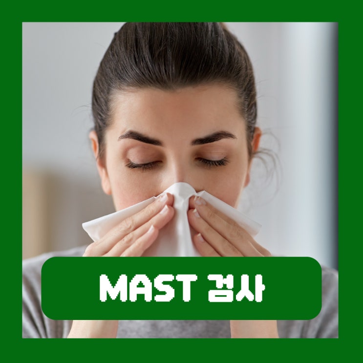  MAST 알러지검사 항목 병원 결과 비용 실비 음식 알레르기