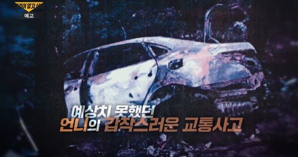  비눌치고개 사건의 진실, 무엇이 있었나?