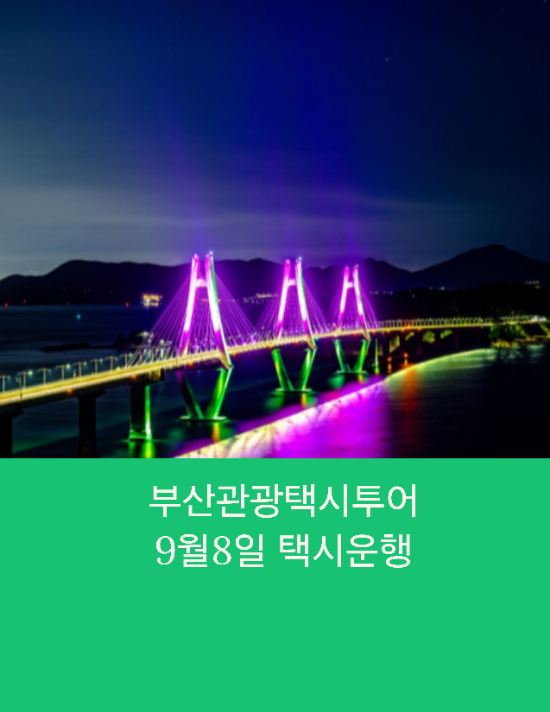  부산관광택시 부산택시투어 거제반나절여행