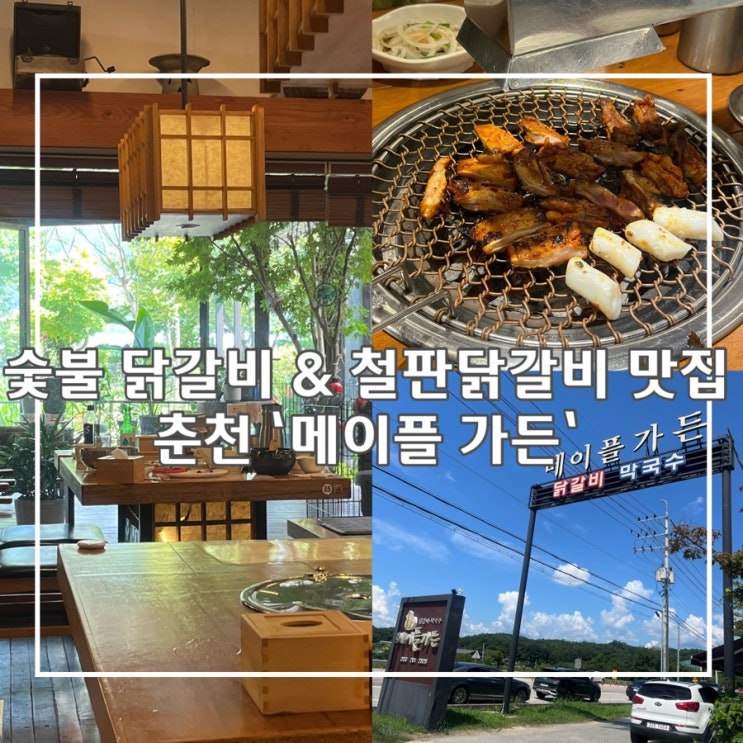  춘천 깔끔한 인테리어 및 정원뷰 숯불닭갈비 & 철판닭갈비 맛집 ‘메이플가든’ 이용후기
