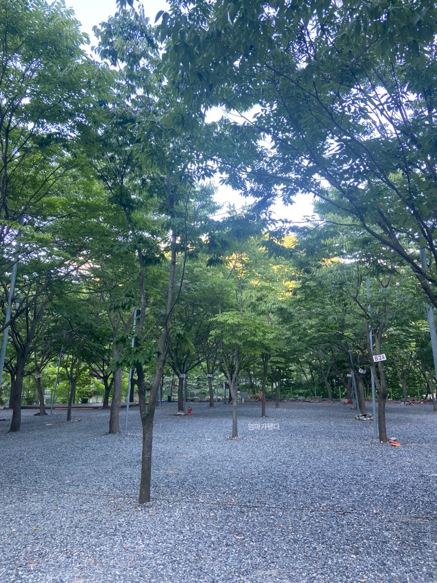 별찌야영장 사진 2