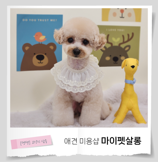 사진 5