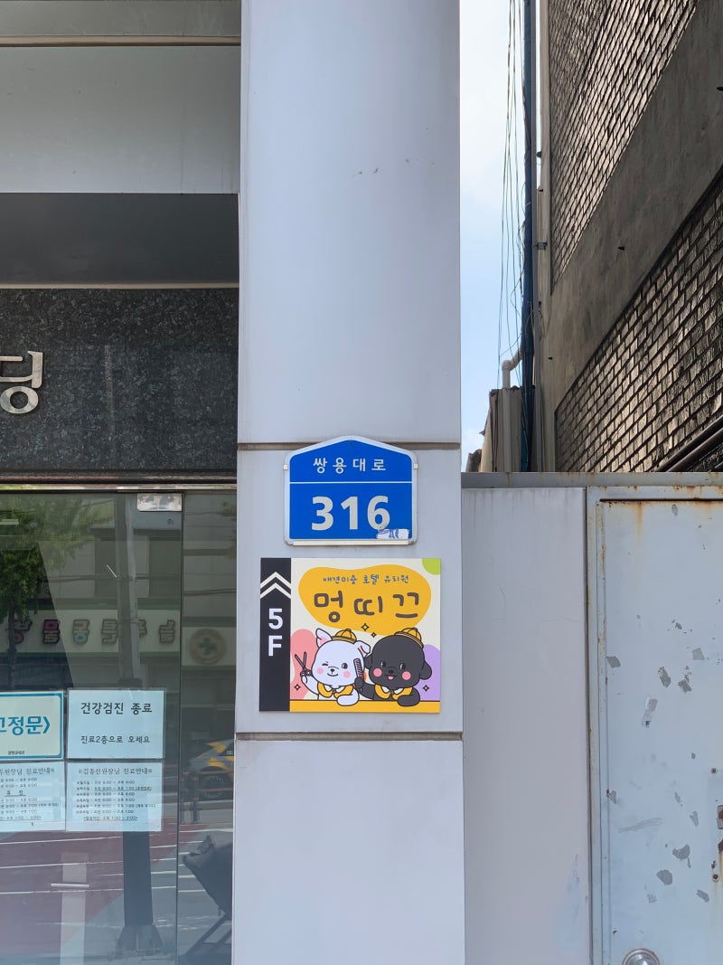 사진 9