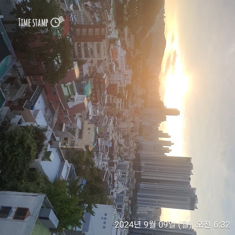 야미야미 사진 2