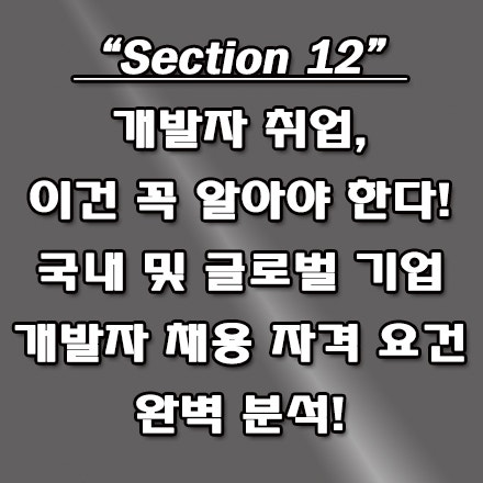  국내외 IT 기업 개발자 채용 자격 요건 분석, 취업을 위한 필수 준비사항은?