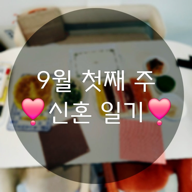  9월 첫째주의 행복한 신혼 일상 기록(김밥만들기 양구 피크닉)