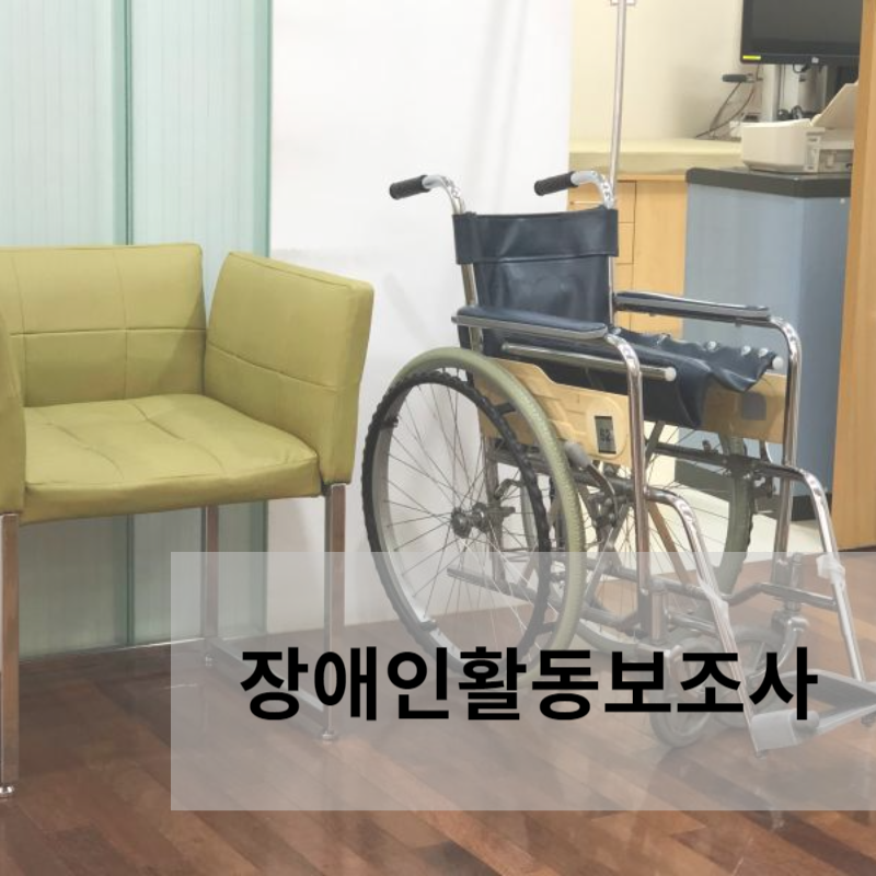 장애인활동 보조사(지원사) 급여 자격증 교육기관 결격사유 비용