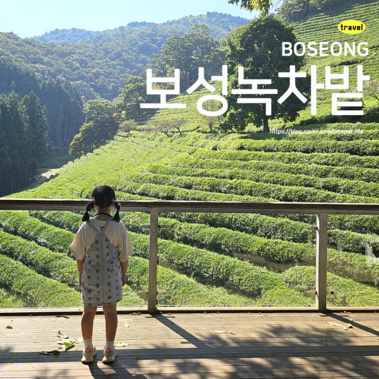  전남 보성녹차 대한다원 아이랑 가족과 가볼 만한 곳 데이트 산책
