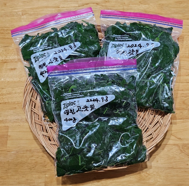 고추잎 삶기 보관법 가을 고춧잎 데치기 말리기