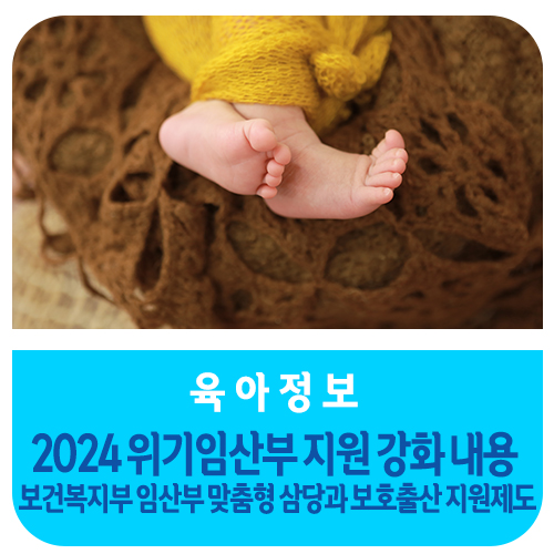 2024 <b>위기임산부</b> <b>지원</b> 강화 내용 보건복지부 <b>임산부</b> 맞춤형... 