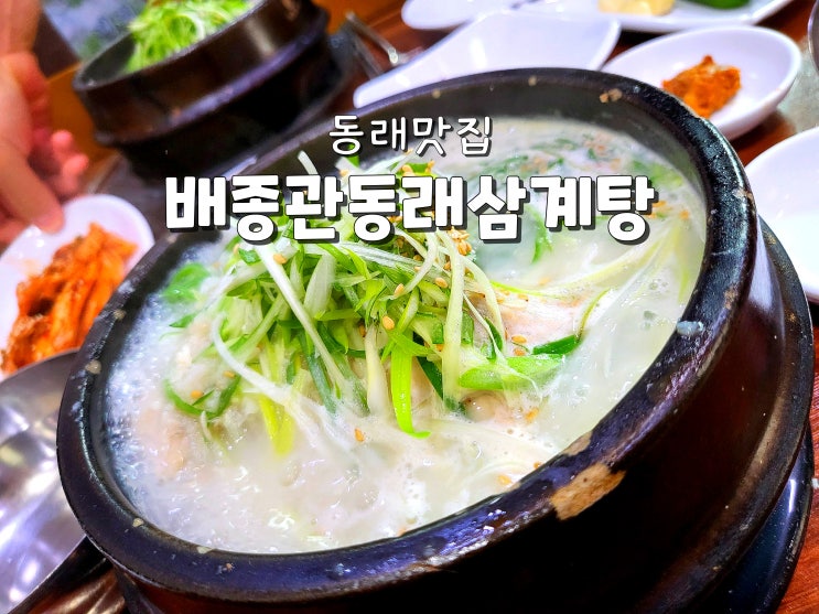  부산동래맛집 동래삼계탕맛집 동래찐맛집 배종관 동래삼계탕