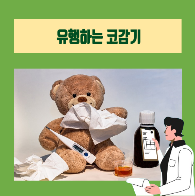  [이학박사] 바이러스 감염으로 인한 코감기 원인, 증상, 치료