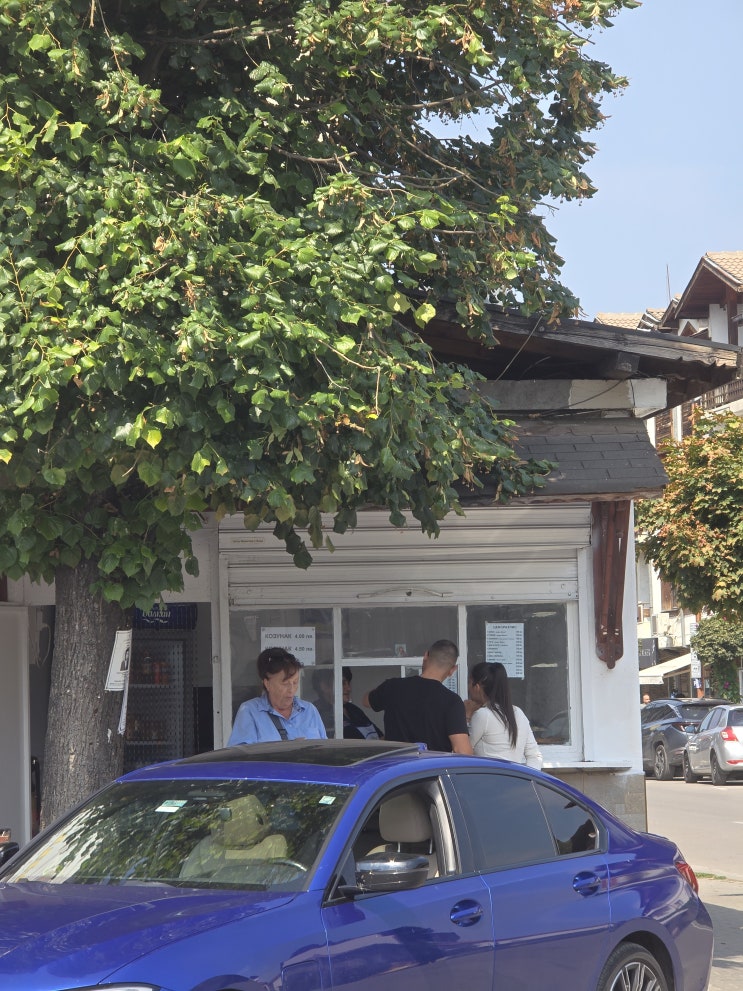  옆동네 Razlog 여행 | 알리 익스프레스로 인한 깜짝 히치하이킹
