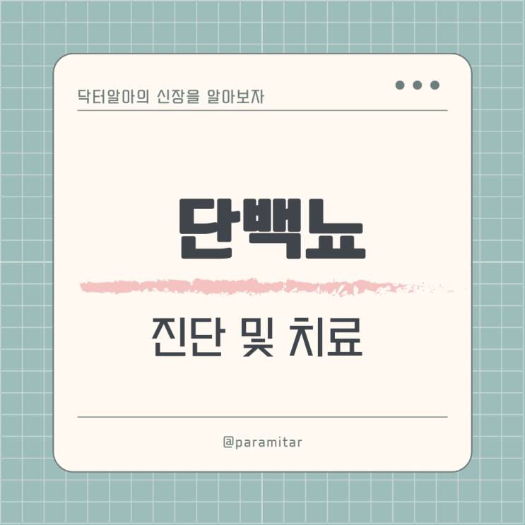  단백뇨(proteinuria), 알부민뇨(albuminuria) 진단 및 치료