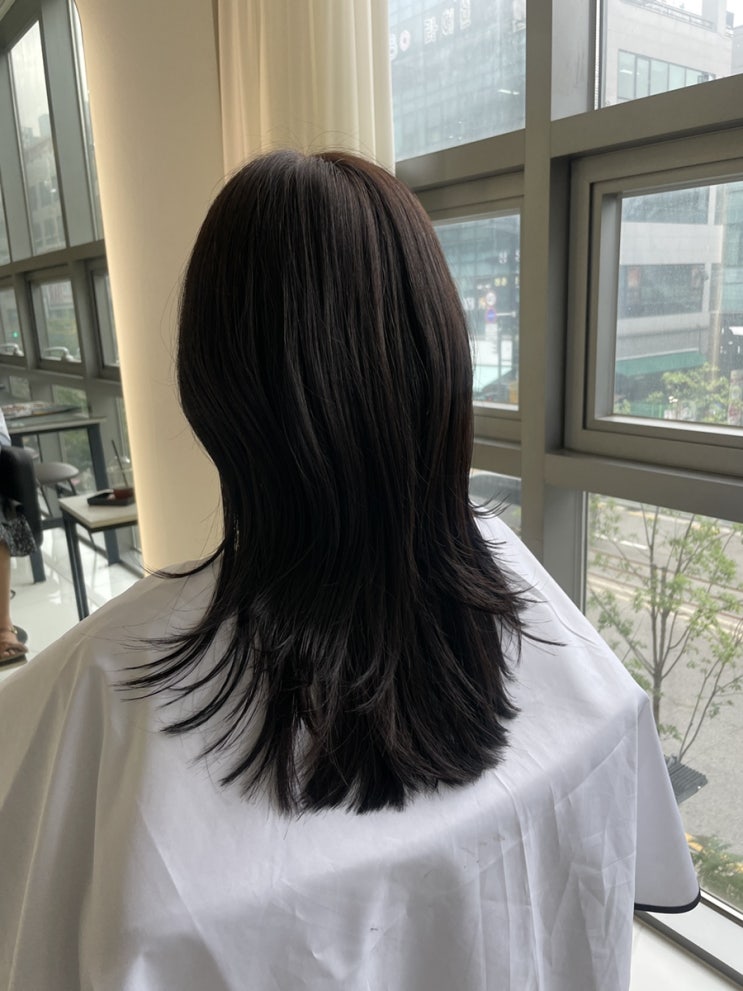 의정부 민락동미용실 민락2지구 염색 맛집 아뮤드 의정부점