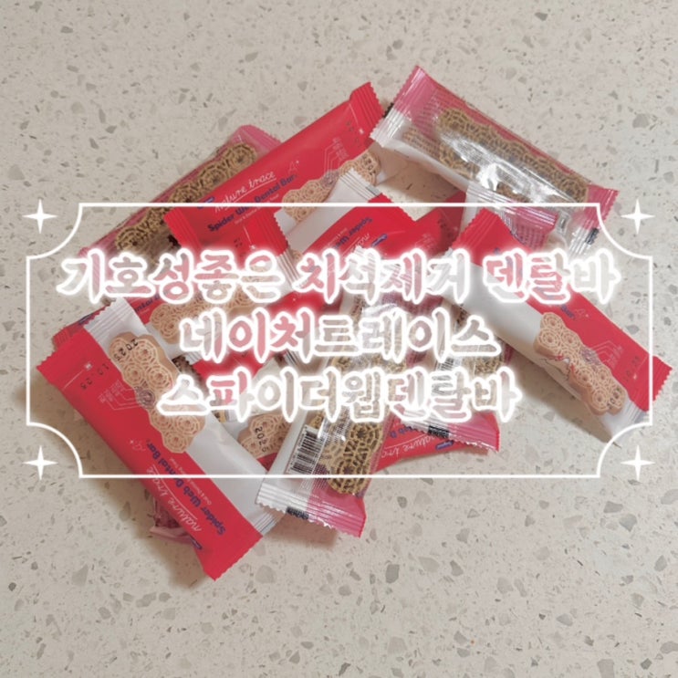  강아지 기호성 좋은 치석거미줄껌  네이처트레이스 스파이더웹 덴탈바
