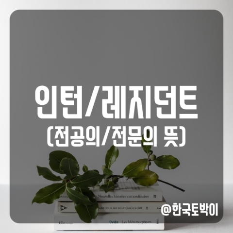  일반의 전문의 전공의 차이 기간 (인턴 레지던트 펠로우 뜻)