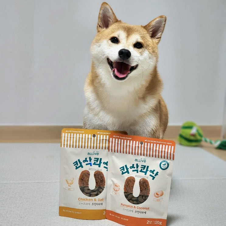  강아지 간식 추천 씹는소리도좋은 저칼로리 콰삭콰삭