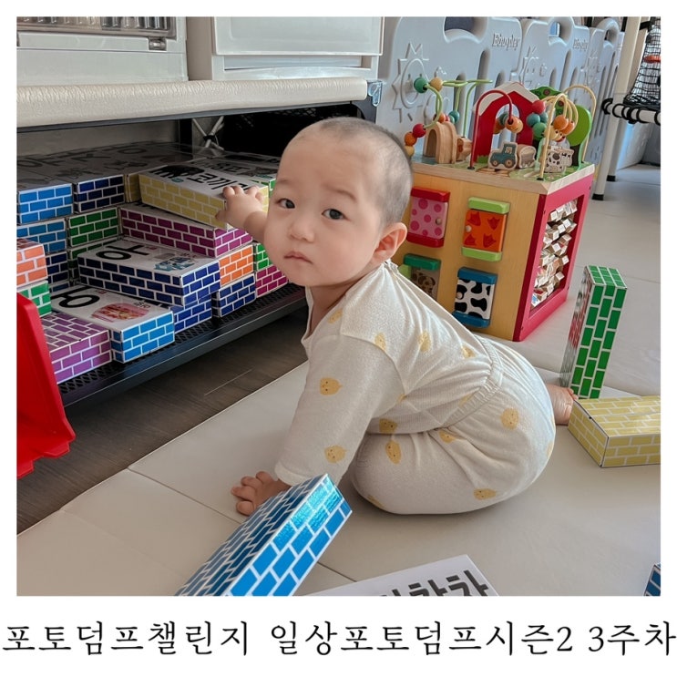  [블챌]포토덤프챌린지 일상포토덤프 시즌2 3주차