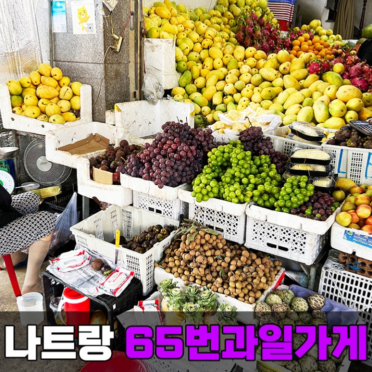  베트남 열대 과일 추천 나트랑 65번 과일 가게
