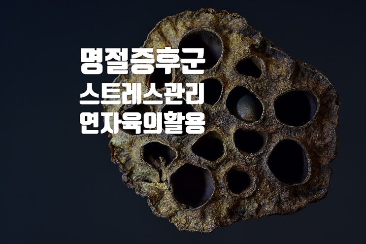  명절증후군과 스트레스 관리법,또다른 복병 휴일심장증후군 .연자육즐기는법,연자육의효능과 활용