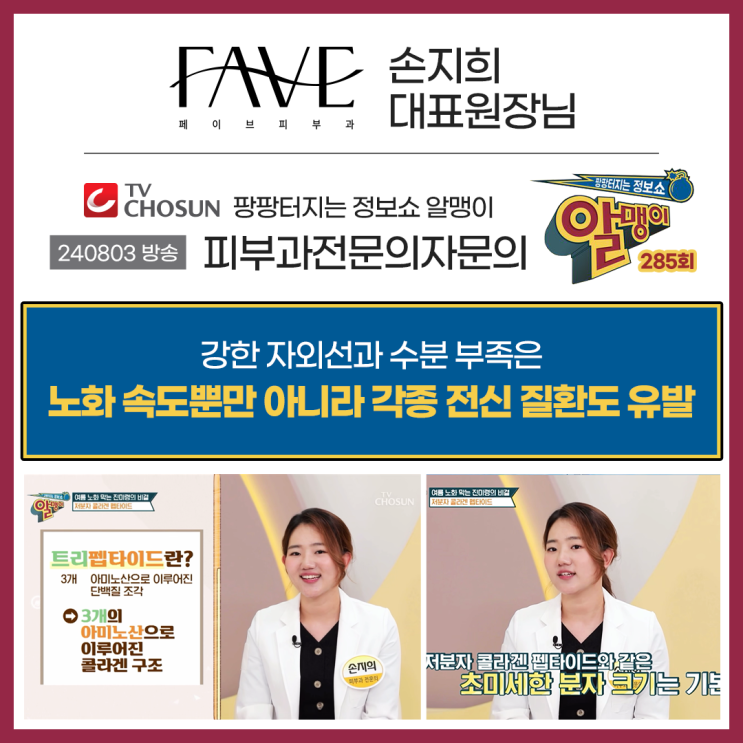  TV조선 알맹이 출연 건강기능식품 종류 저분자 콜라겐 펩타이드 왜 좋을까?