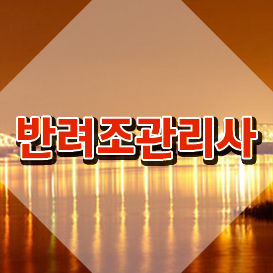  앵무새입양 , 반려조관리사 자격증 취득한 노하우 정보 필요하시죠