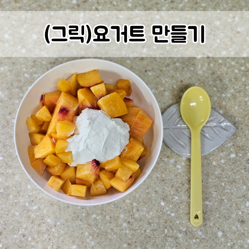 240원짜리 사코유산균으로 그릭요거트만드는 법 (sab 440B)
