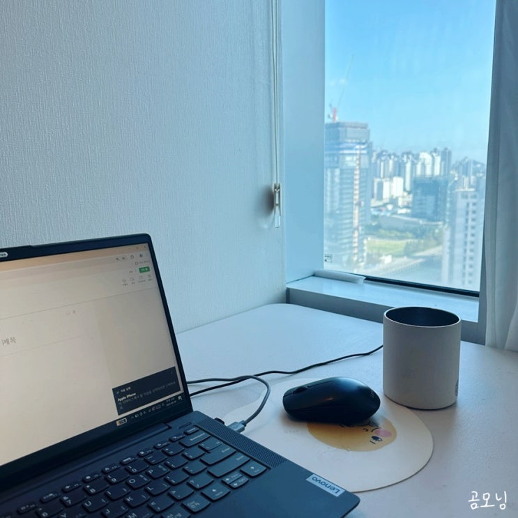  일상:: 올드몬트베이글, 카네다 이에케라멘, 느긋한 연가, 냉털, 데리야끼치킨