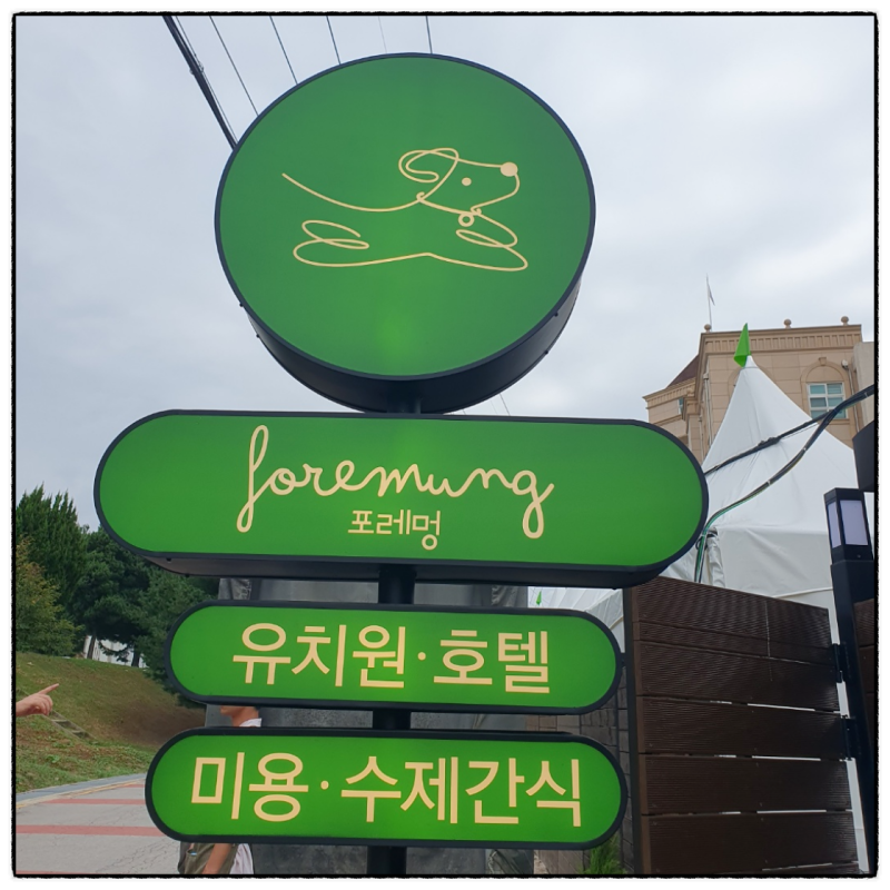 사진 6