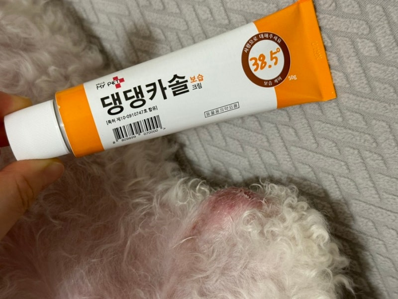강아지 피부병 피부염증 상처 댕댕카솔 사용후기