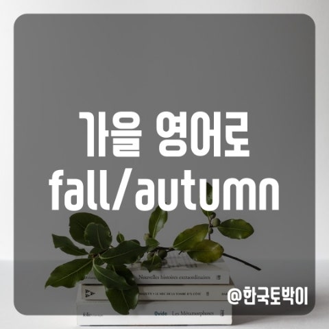  가을 영어로? fall vs autumn 차이는?