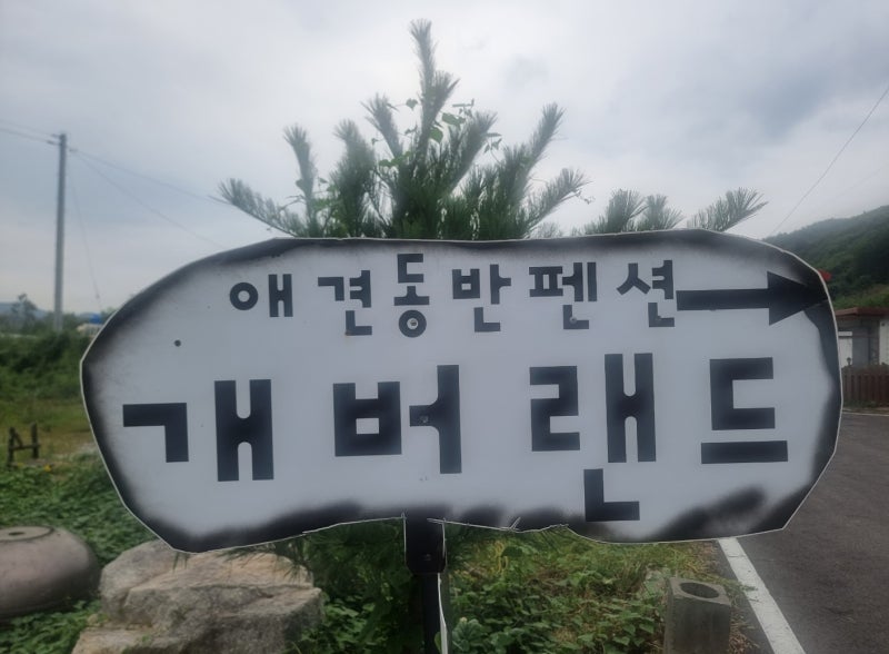 사진 3